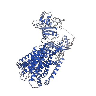 30956_7e2g_D_v1-0
Cryo-EM structure of hDisp1NNN-3C
