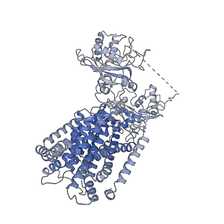 30958_7e2i_D_v1-0
Cryo-EM structure of hDisp1NNN-ShhN