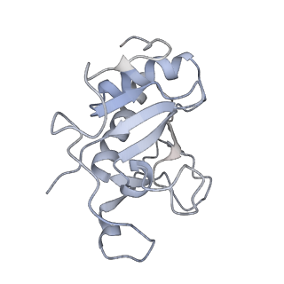30958_7e2i_G_v1-0
Cryo-EM structure of hDisp1NNN-ShhN