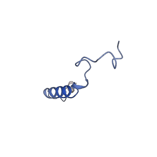 30971_7e2x_G_v1-1
Apo serotonin 1A (5-HT1A) receptor-Gi protein complex
