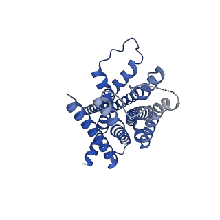 30971_7e2x_R_v1-1
Apo serotonin 1A (5-HT1A) receptor-Gi protein complex
