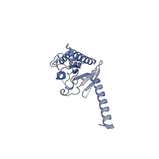 30972_7e2y_A_v1-1
Serotonin-bound Serotonin 1A (5-HT1A) receptor-Gi protein complex