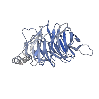 30972_7e2y_B_v1-1
Serotonin-bound Serotonin 1A (5-HT1A) receptor-Gi protein complex