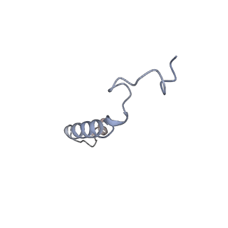 30972_7e2y_G_v1-1
Serotonin-bound Serotonin 1A (5-HT1A) receptor-Gi protein complex