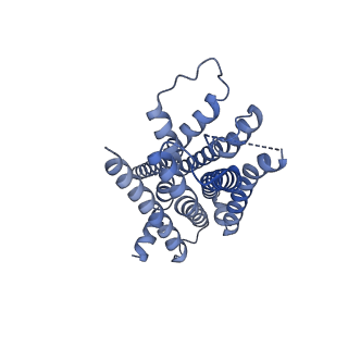 30972_7e2y_R_v1-1
Serotonin-bound Serotonin 1A (5-HT1A) receptor-Gi protein complex
