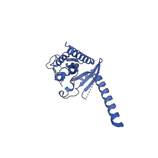 30973_7e2z_A_v1-1
Aripiprazole-bound serotonin 1A (5-HT1A) receptor-Gi protein complex