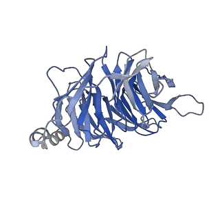 30973_7e2z_B_v1-1
Aripiprazole-bound serotonin 1A (5-HT1A) receptor-Gi protein complex
