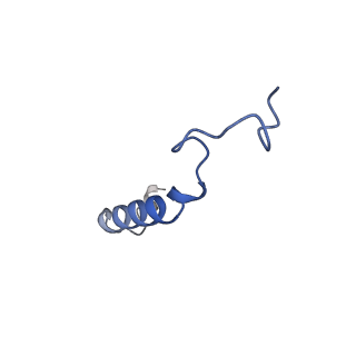 30973_7e2z_G_v1-1
Aripiprazole-bound serotonin 1A (5-HT1A) receptor-Gi protein complex
