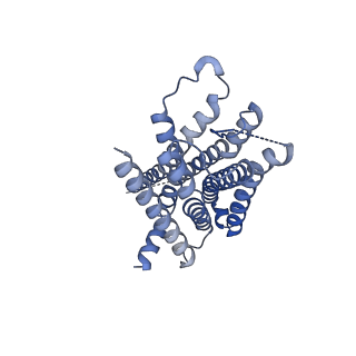 30973_7e2z_R_v1-1
Aripiprazole-bound serotonin 1A (5-HT1A) receptor-Gi protein complex