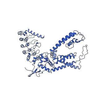 8961_6e2f_A_v1-2
Cryo-EM structure of human TRPV6 in complex with Calmodulin