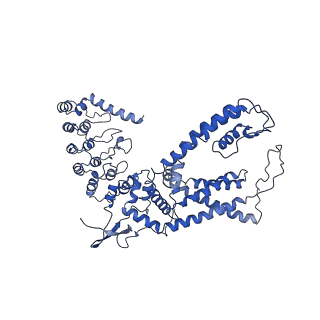 8961_6e2f_A_v1-3
Cryo-EM structure of human TRPV6 in complex with Calmodulin