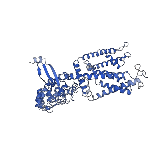 8961_6e2f_B_v1-2
Cryo-EM structure of human TRPV6 in complex with Calmodulin