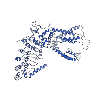 8961_6e2f_C_v1-2
Cryo-EM structure of human TRPV6 in complex with Calmodulin
