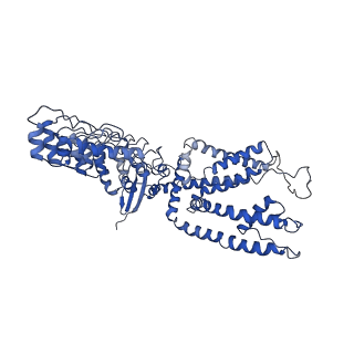 8961_6e2f_D_v1-2
Cryo-EM structure of human TRPV6 in complex with Calmodulin
