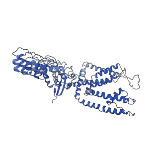 8961_6e2f_D_v1-3
Cryo-EM structure of human TRPV6 in complex with Calmodulin