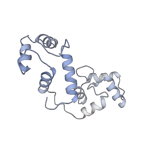 8961_6e2f_E_v1-2
Cryo-EM structure of human TRPV6 in complex with Calmodulin