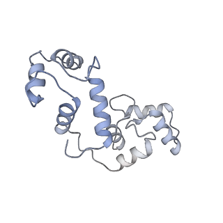 8961_6e2f_E_v1-3
Cryo-EM structure of human TRPV6 in complex with Calmodulin