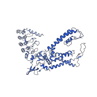 8962_6e2g_A_v1-2
Cryo-EM structure of rat TRPV6 in complex with Calmodulin