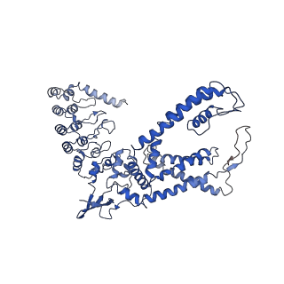 8962_6e2g_A_v1-3
Cryo-EM structure of rat TRPV6 in complex with Calmodulin