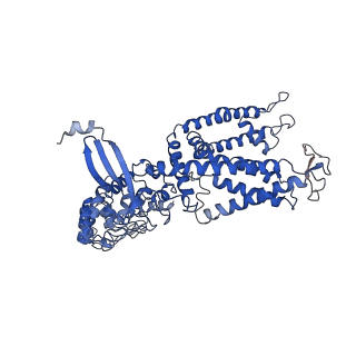 8962_6e2g_B_v1-2
Cryo-EM structure of rat TRPV6 in complex with Calmodulin