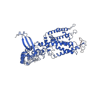 8962_6e2g_B_v1-3
Cryo-EM structure of rat TRPV6 in complex with Calmodulin