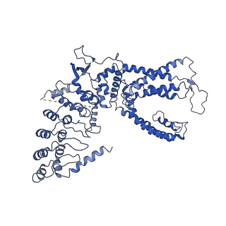 8962_6e2g_C_v1-2
Cryo-EM structure of rat TRPV6 in complex with Calmodulin