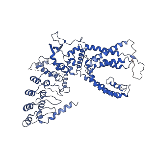 8962_6e2g_C_v1-3
Cryo-EM structure of rat TRPV6 in complex with Calmodulin