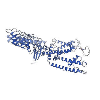 8962_6e2g_D_v1-2
Cryo-EM structure of rat TRPV6 in complex with Calmodulin