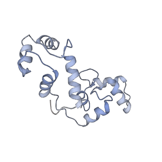 8962_6e2g_E_v1-2
Cryo-EM structure of rat TRPV6 in complex with Calmodulin