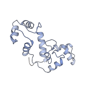 8962_6e2g_E_v1-3
Cryo-EM structure of rat TRPV6 in complex with Calmodulin