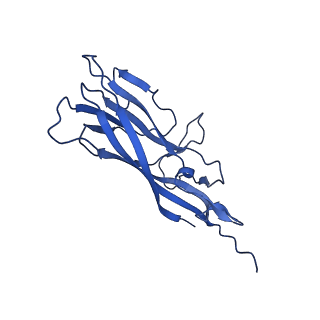 8969_6e2r_A2_v1-2
Mechanism of cellular recognition by PCV2