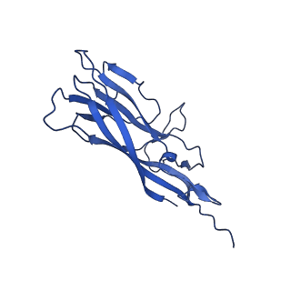 8969_6e2r_A2_v1-3
Mechanism of cellular recognition by PCV2