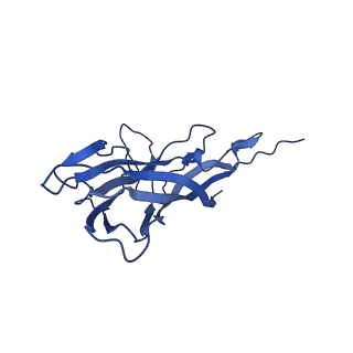 8969_6e2r_A3_v1-3
Mechanism of cellular recognition by PCV2