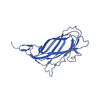 8969_6e2r_A5_v1-3
Mechanism of cellular recognition by PCV2