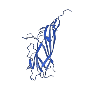 8969_6e2r_A6_v1-3
Mechanism of cellular recognition by PCV2