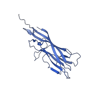 8969_6e2r_A7_v1-2
Mechanism of cellular recognition by PCV2