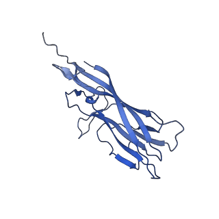 8969_6e2r_A7_v1-3
Mechanism of cellular recognition by PCV2