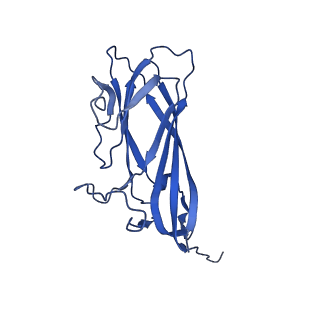 8969_6e2r_AB_v1-3
Mechanism of cellular recognition by PCV2