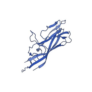 8969_6e2r_AC_v1-3
Mechanism of cellular recognition by PCV2