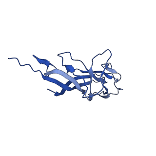 8969_6e2r_AD_v1-2
Mechanism of cellular recognition by PCV2