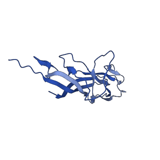 8969_6e2r_AD_v1-3
Mechanism of cellular recognition by PCV2