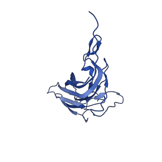 8969_6e2r_AE_v1-3
Mechanism of cellular recognition by PCV2