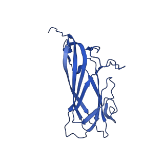 8969_6e2r_AG_v1-3
Mechanism of cellular recognition by PCV2