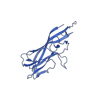 8969_6e2r_AH_v1-3
Mechanism of cellular recognition by PCV2