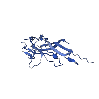 8969_6e2r_AI_v1-3
Mechanism of cellular recognition by PCV2