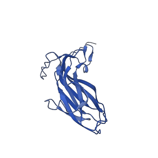 8969_6e2r_AM_v1-3
Mechanism of cellular recognition by PCV2