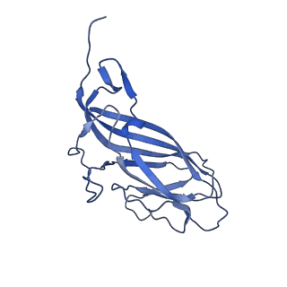 8969_6e2r_AN_v1-3
Mechanism of cellular recognition by PCV2