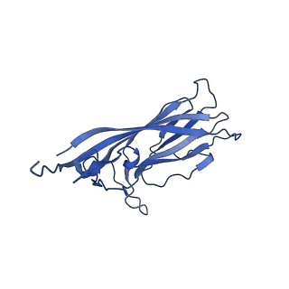 8969_6e2r_AO_v1-3
Mechanism of cellular recognition by PCV2