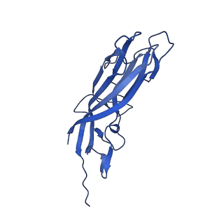 8969_6e2r_AP_v1-3
Mechanism of cellular recognition by PCV2