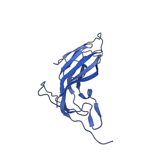 8969_6e2r_AR_v1-3
Mechanism of cellular recognition by PCV2